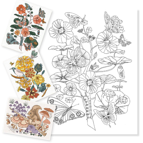 カラーリングギャラリー ナチュラリスト